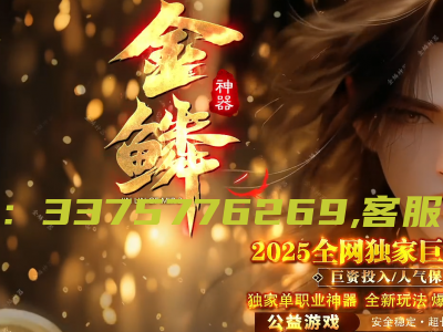 26-217代销独家金鳞神器单职业传奇服务端-带假人-五大陆-ESP插件-自动回收-GOM引擎